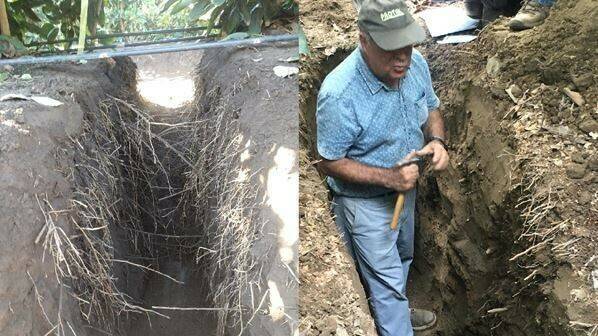 Aguacate Ferreyra (2)|aguacate Barriento-Priego V1